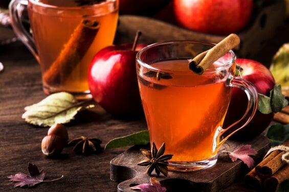 Non-alcoholic apple cider punch